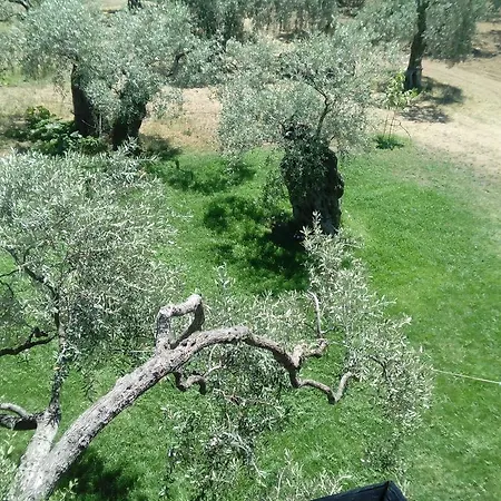 Thomi Skala Rachoni (Thasos)