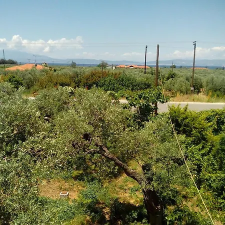 Aparthotel Thomi Skala Rachoni (Thasos)