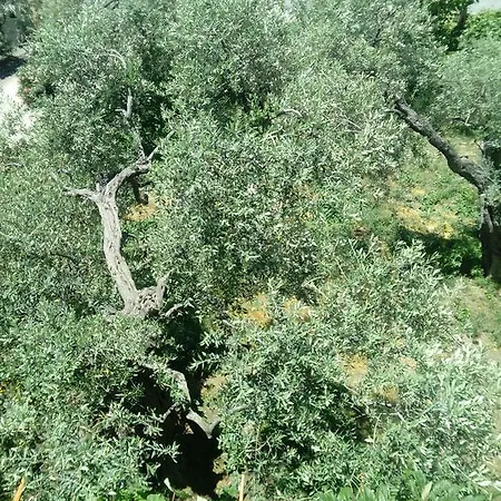 Aparthotel Thomi Skala Rachoni (Thasos)