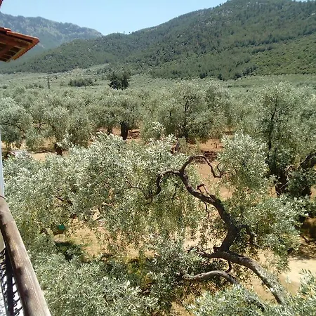 Thomi Skala Rachoni (Thasos)